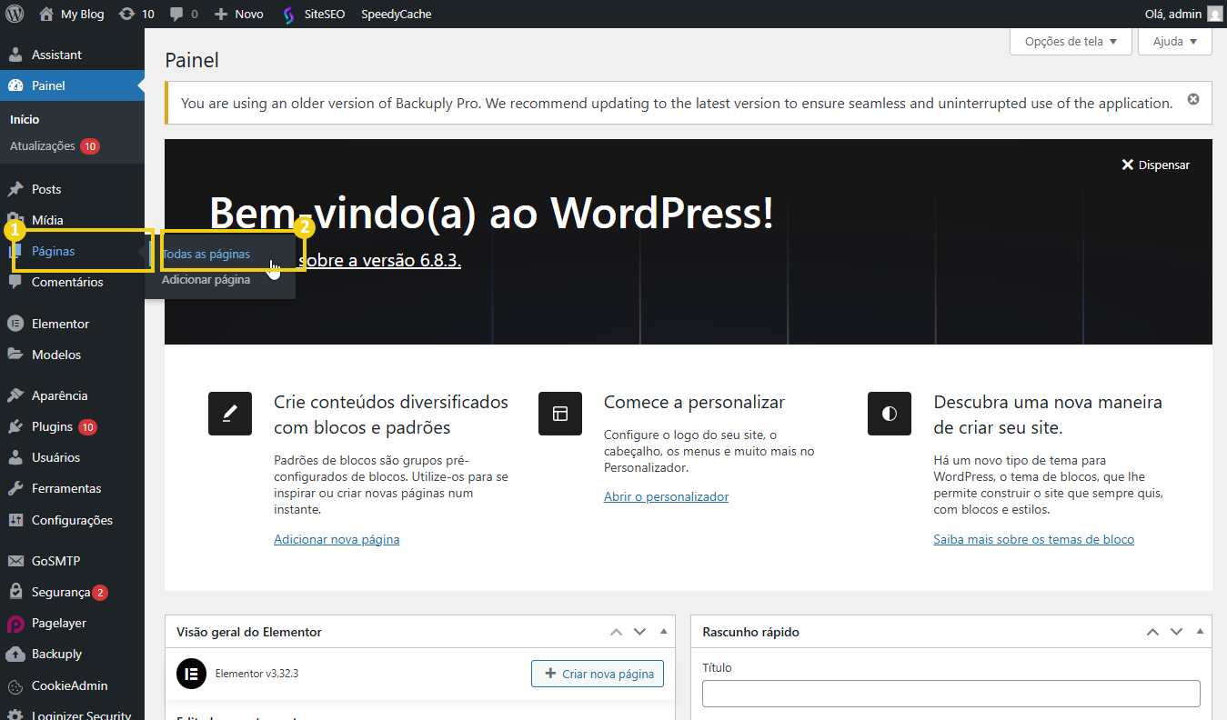 Imagem mostra tela do painel wp-admin do Wordpress, destacando a opção "Páginas" do menu lateral esquerdo, e destaque na opção "Todas as páginas"
