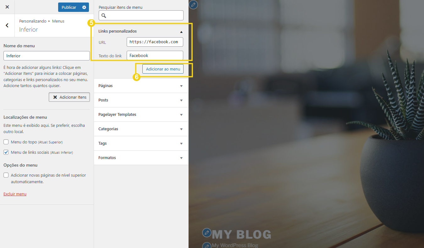 Imagem da página de criação de novo menu, no WordPress, com destaque para a seleção de Links personalizados, em tipo de itens de menu e também destaque ao botão de Adicionar ao menu