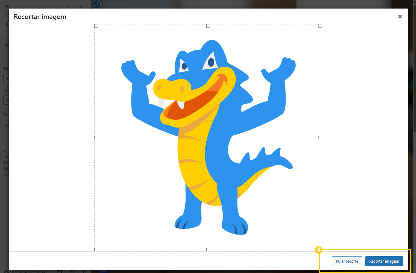  Imagem mostrando a foto selecionada como logo com destaque para as opções de Pular recorte e recortar imagem na parte inferior da tela 
