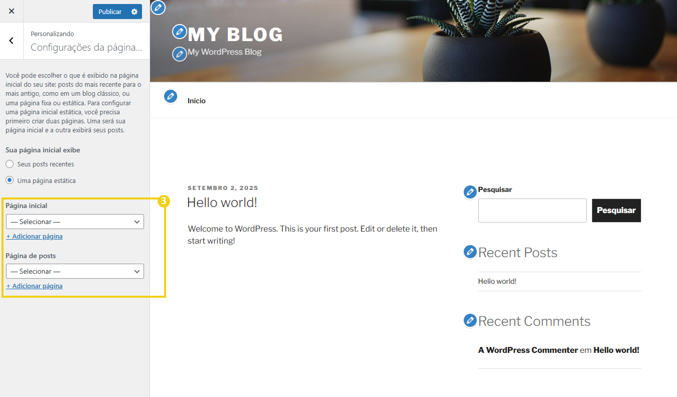 Imagem do menu de personalização de Página inicial no WordPress com destaque para o botão de publicar na parte superior da tela