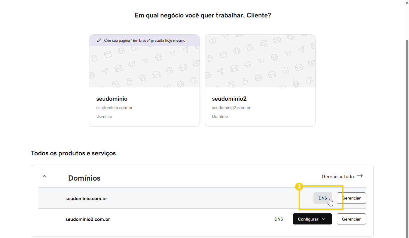 Tela de administração de DNS, com opção "DNS" destacada