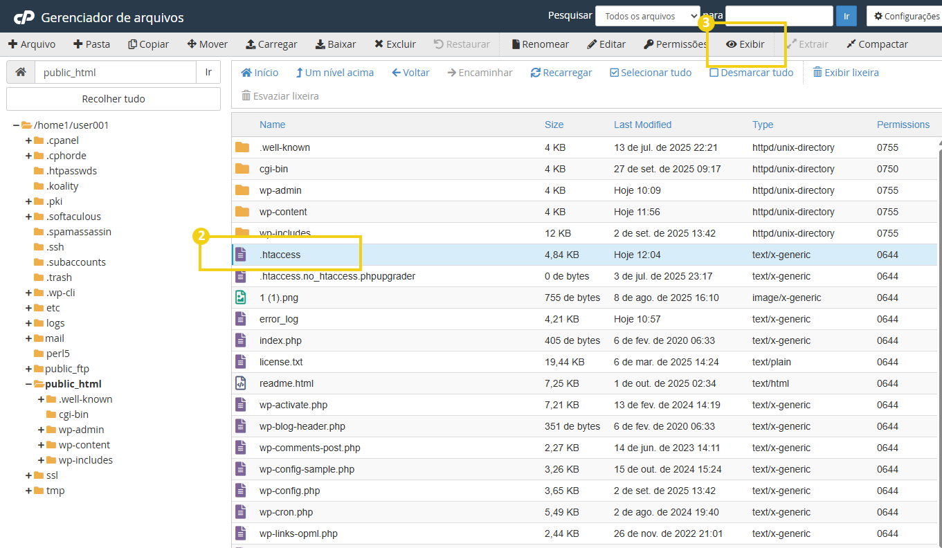 Imagem do gerenciador de arquivos do cPanel, mostrando arquivos e pastas. Está destacado o arquivo .htaccess selecionado e a opção com ícone de olho "exibir"