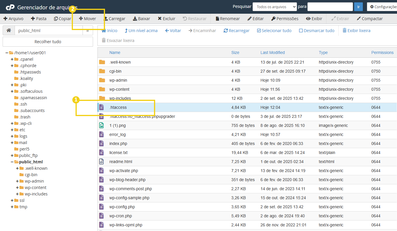 Imagem da tela do gerenciador de arquivos do cPanel, destacando um arquivo selecionado e a opção do menu superior "mover"