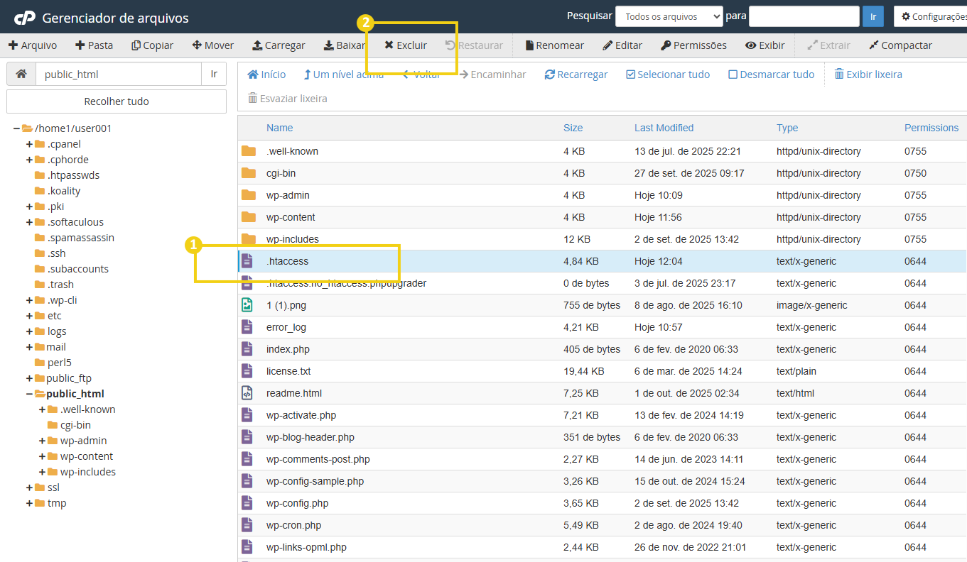 Imagem destaca opção "excluir" do menu superior do gerenciador de arquivos do cPanel