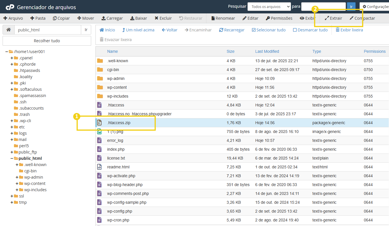 Imagem do gerenciador de arquivos do cPanel, mostrando a opção "Extrair"