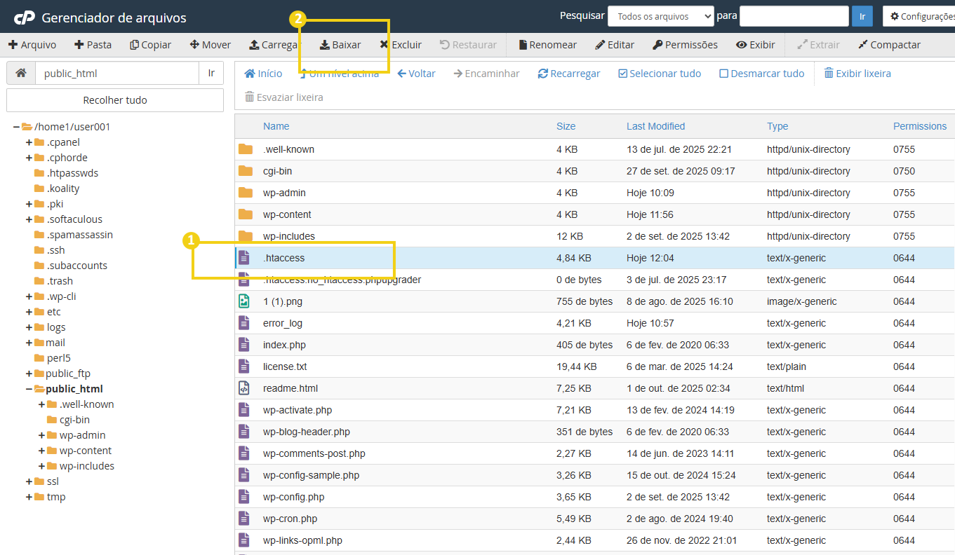 Imagem destacando botão "baixar" do menu superior do gerenciador de arquivos do cPanel