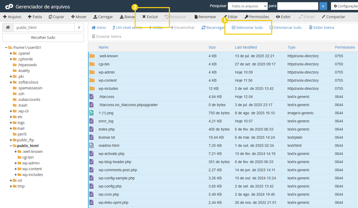 BC146-BR - Quais as funcionalidades do Gerenciador de arquivos do cPanel - 13.png