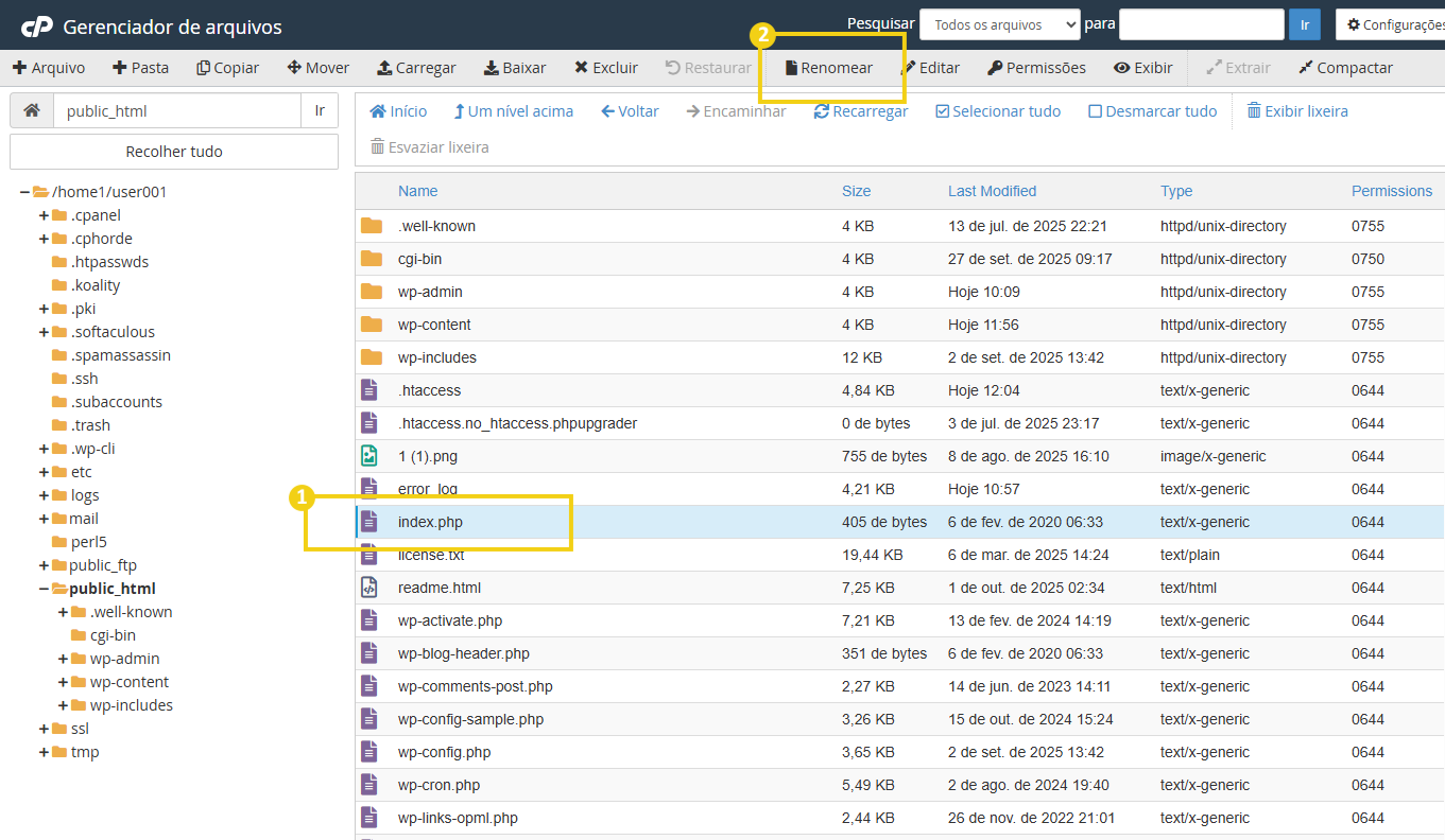 Imagem do gerenciador de arquivos do cPanel, destacando a opção "Renomear"