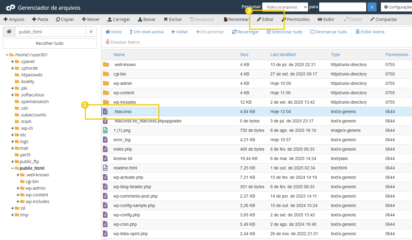 Imagem da tela de gerenciamento de arquivos do cPanel, com destaque a um arquivo selecionado e a opção do menu Superior com nome "Editar"