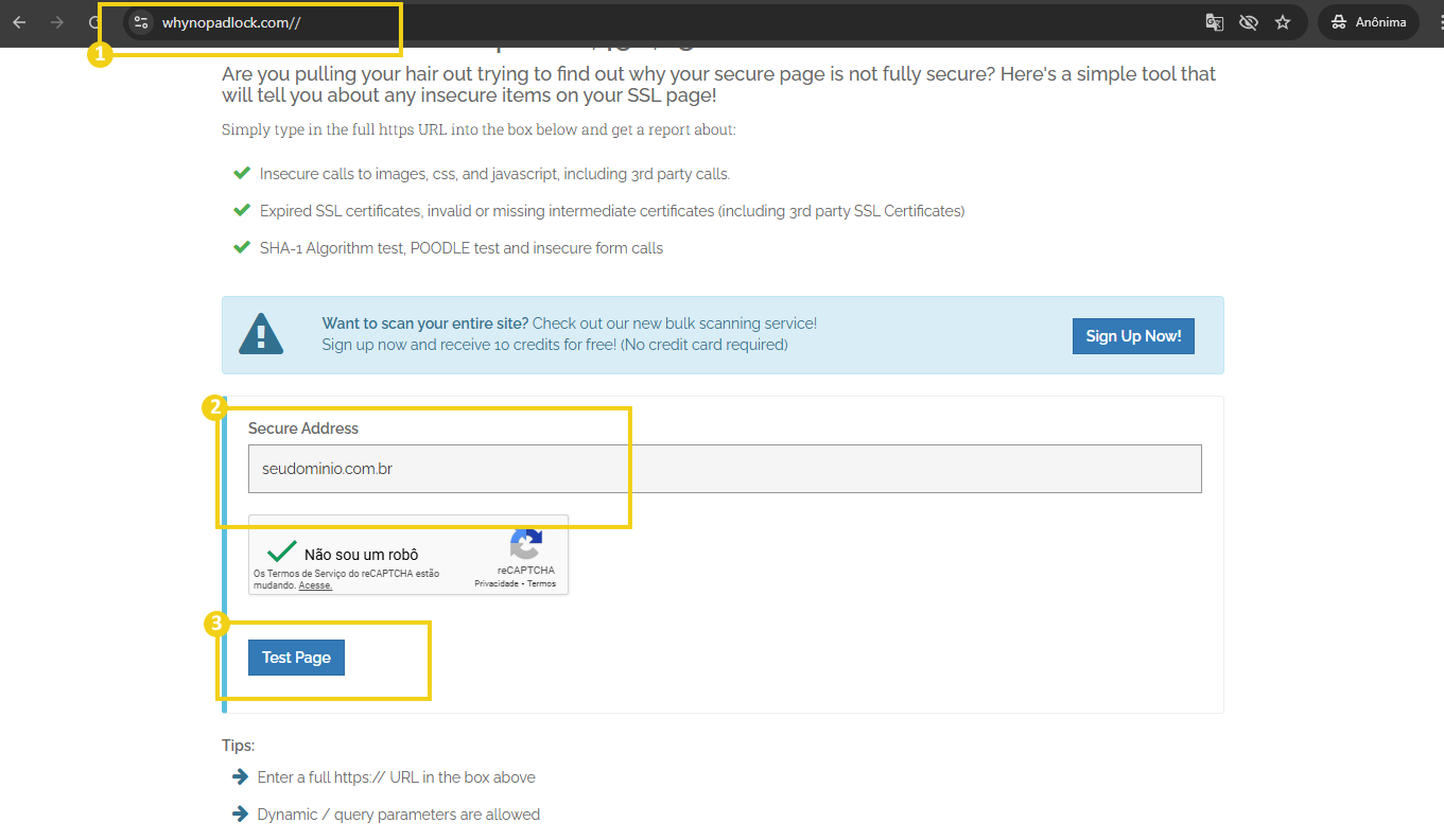Tela do site Whynopadlock, destacando a URL do site, seguido do campo "secure adress" preenchido com o domínio e destacando botão "test page" em azul