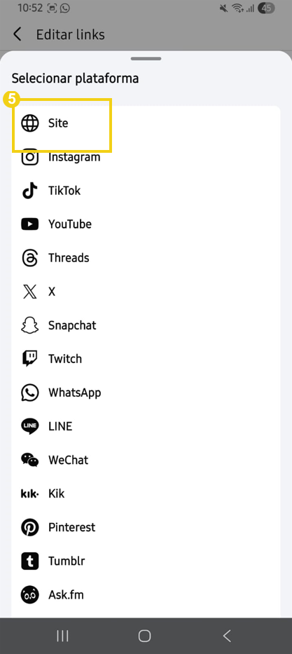 Tela de gerenciamento de links do Facebook, destacando a opção "Site"
