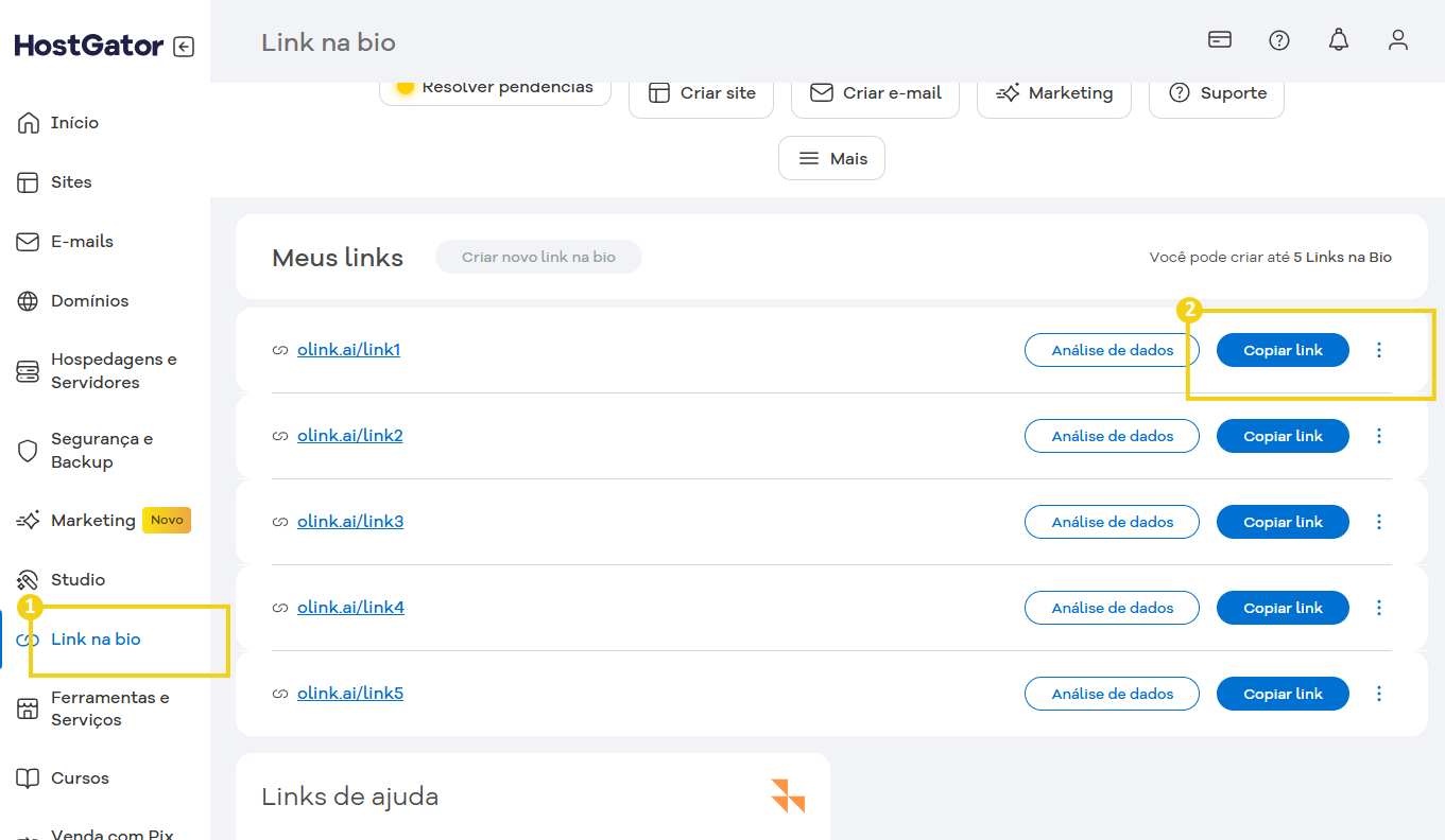 Imagem mostra Portal do Cliente da HostGator, destacando a opção do menu lateral esquerdo "link na bio" e opção "copiar link"