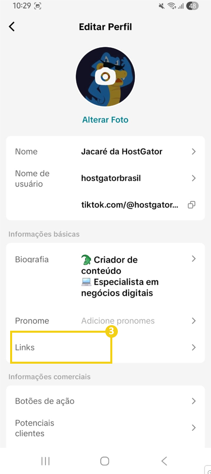 Imagem do perfil do TikTok, destacando opção "Links"