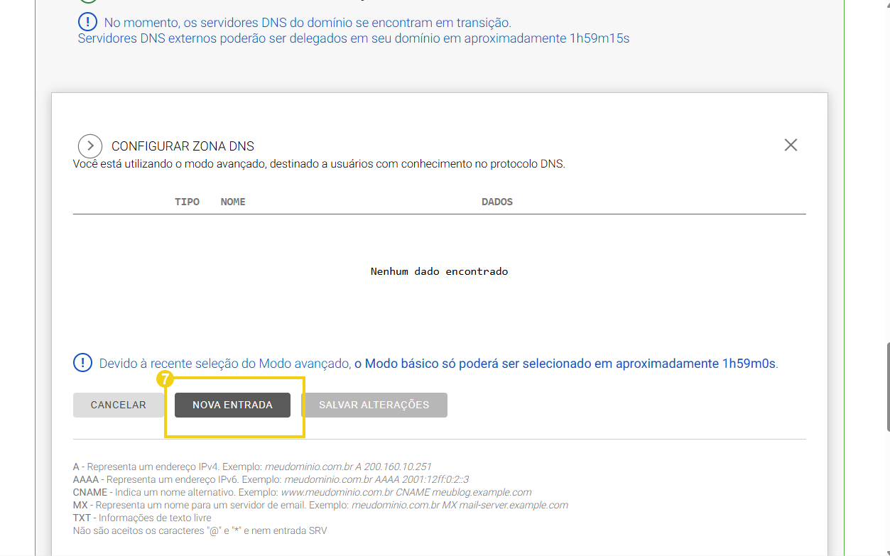 Imagem de uma tela de configuração de zona DNS, com foco na opção Nova Entrada
