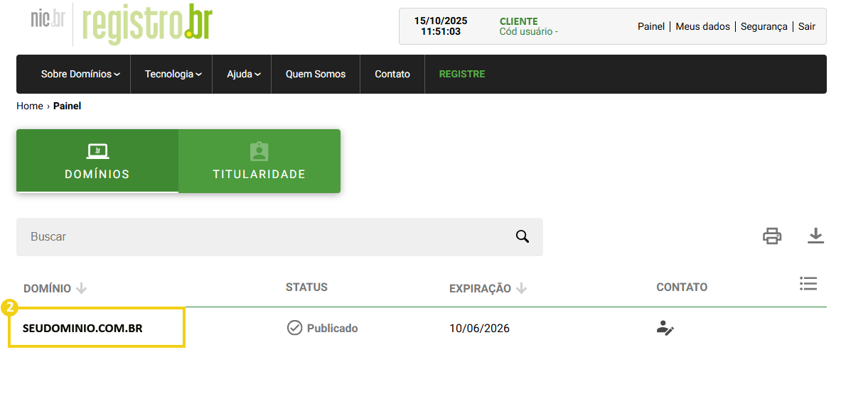 Imagem da plataforma de gerenciamento de domínios da Registra.br, mostrando a pagina inicial de gerenciamento dos domínios.