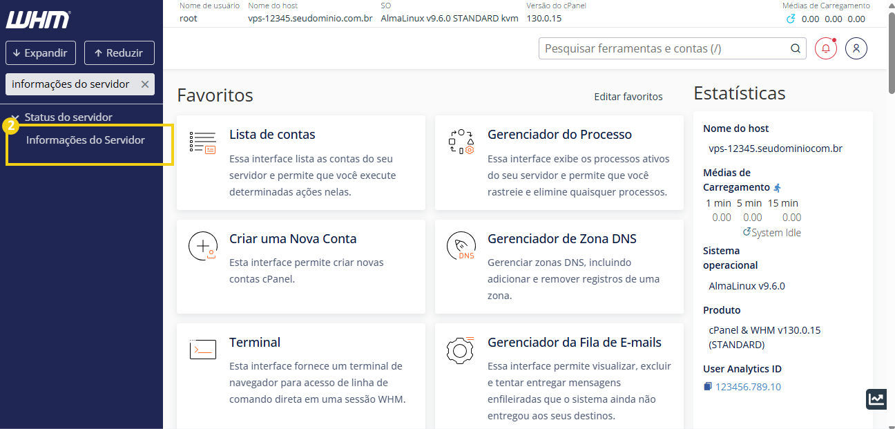 Tela de gerenciamento de servidor WHM com opções para visualizar estatísticas, contas, criar novas contas e gerenciar DNS.