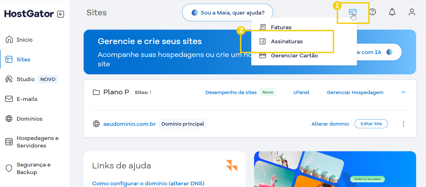 Tela do Portal do Cliente que destaca no menu superior o ícone de cartão de crédito e em seguida Assinaturas