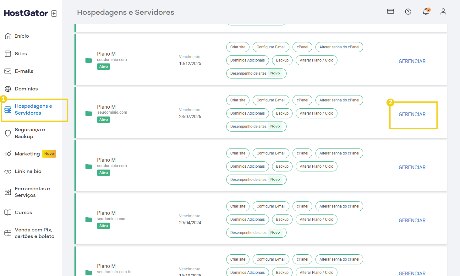 Imagem do Portal do Cliente HostGator com o destaque na opção de Gerenciar a hospedagem