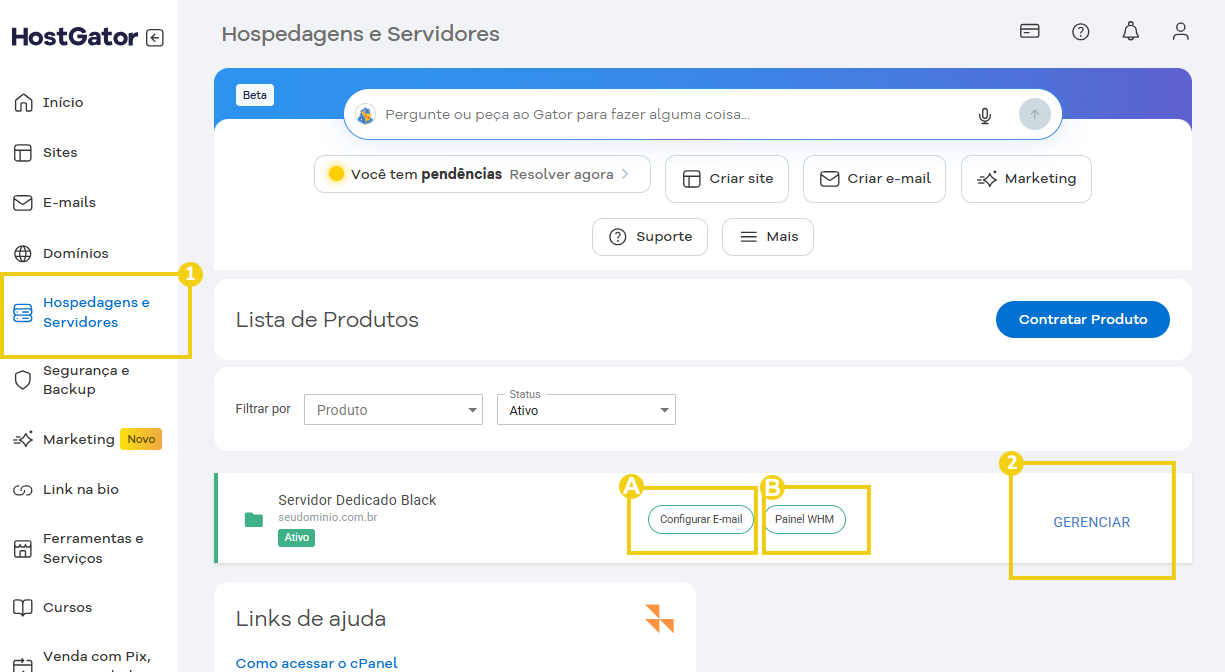 Imagem do Portal do Cliente que mostra o acesso a seção de "Hospedagens e Servidores" e depois os acessos disponíveis para o servidor e gerenciamento