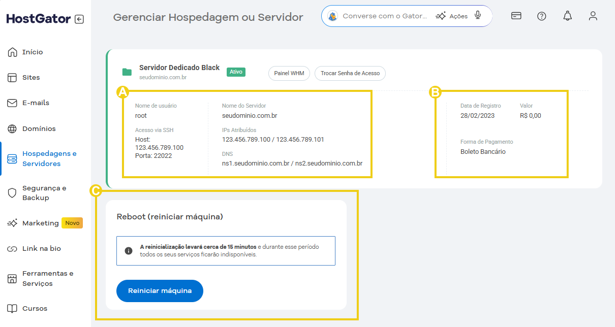 Imagem mostra a área de gerenciamento do servidor Dedicado