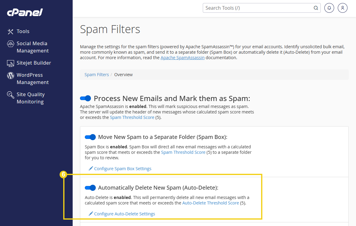 Configuração de filtros de spam no cPanel, incluindo opções para processar e mover e-mails suspeitos, além de configurar e Auto deletar spam automaticamente.