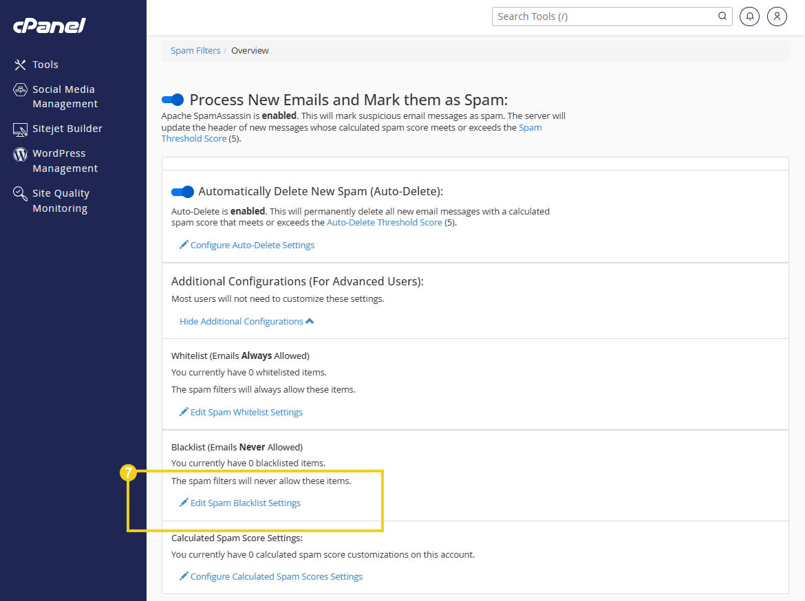 Tela de configuração do filtro de spam no cPanel, mostrando a opção para marcar emails como spam, mover spam para uma pasta separada e apagar automaticamente spams indesejados.