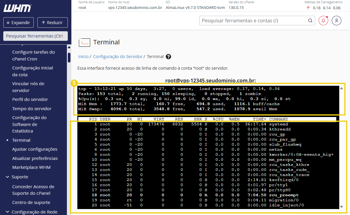 Imagem mostrando uma tela de terminal do WHM com comando top