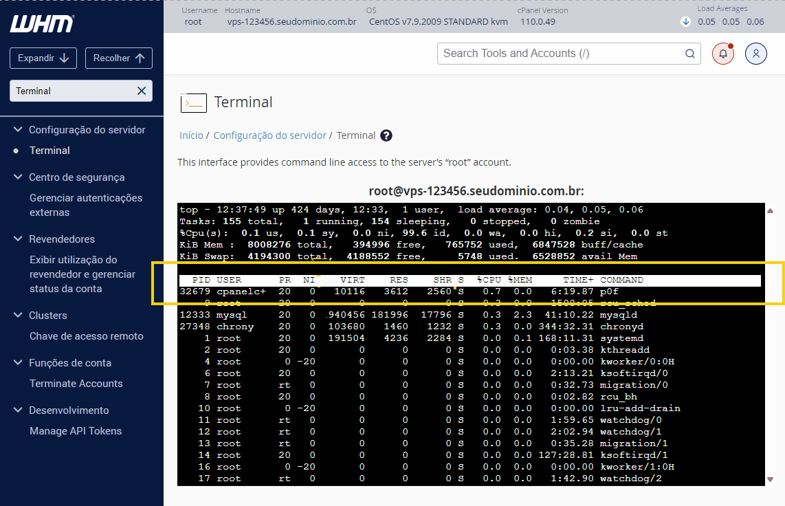Visão de um terminal de servidor na hospedagem WHM, mostrando processos e uso de recursos em um ambiente de servidor Linux.