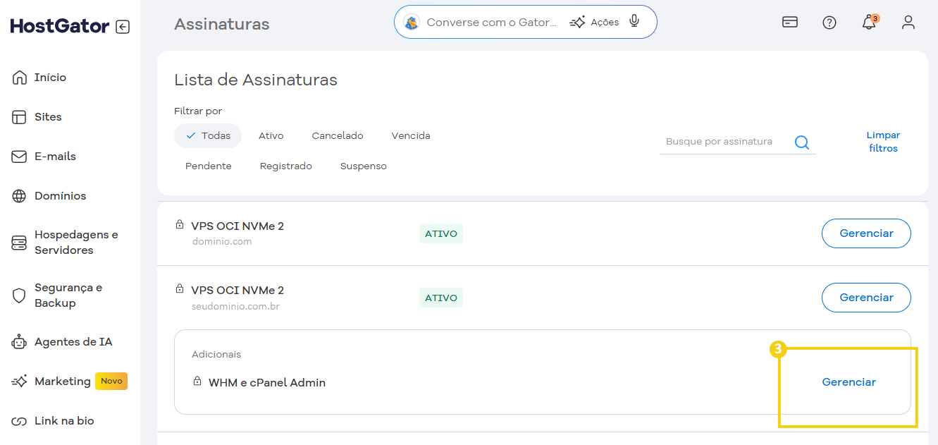 Tela do Portal do Cliente HostGator mostrando a lista de assinaturas de domínio e opções de gerenciamento de servidores e hospedagem, com destaque para o painel de assinaturas ativo.