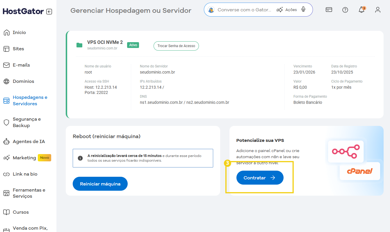 Descrição otimizada de uma tela de gerenciamento de hospedagem VPS no HostGator, destacando opções de controle e configurações para servidores.