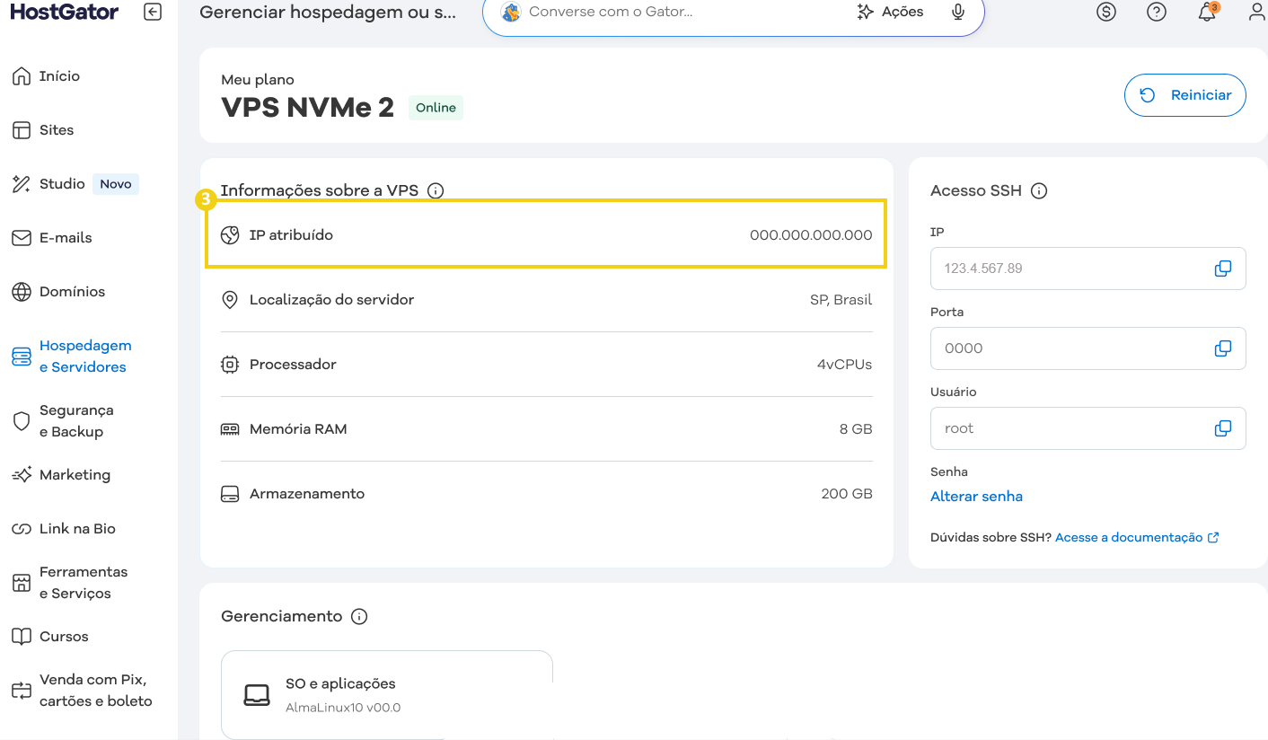 Painel de controle do cliente na plataforma HostGator, exibindo informações de IP, servidor, memória RAM, armazenamento, com destaque no campo IP atribuído