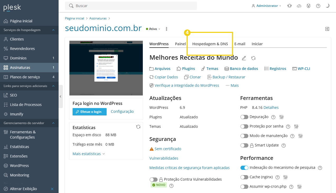 Imagem mostra a tela do Plesk com a marcação na aba "Hospedagem e DNS"