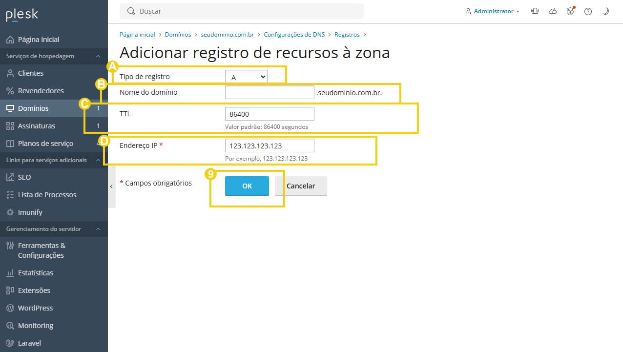Imagem mostra a tela do Plesk com a área para adicionar o registro à zona DNS 