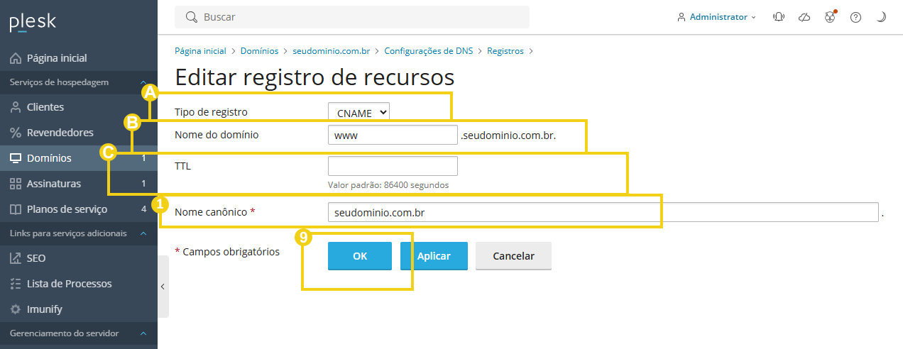 Imagem mostra a tela do Plesk com a área para editar o registro à zona DNS 