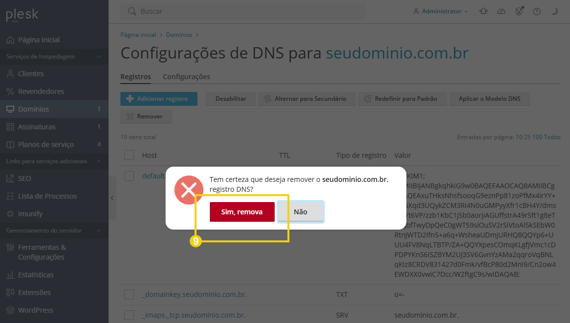 Imagem mostra a tela do Plesk com a tela que pergunta a confirmação da exclusão