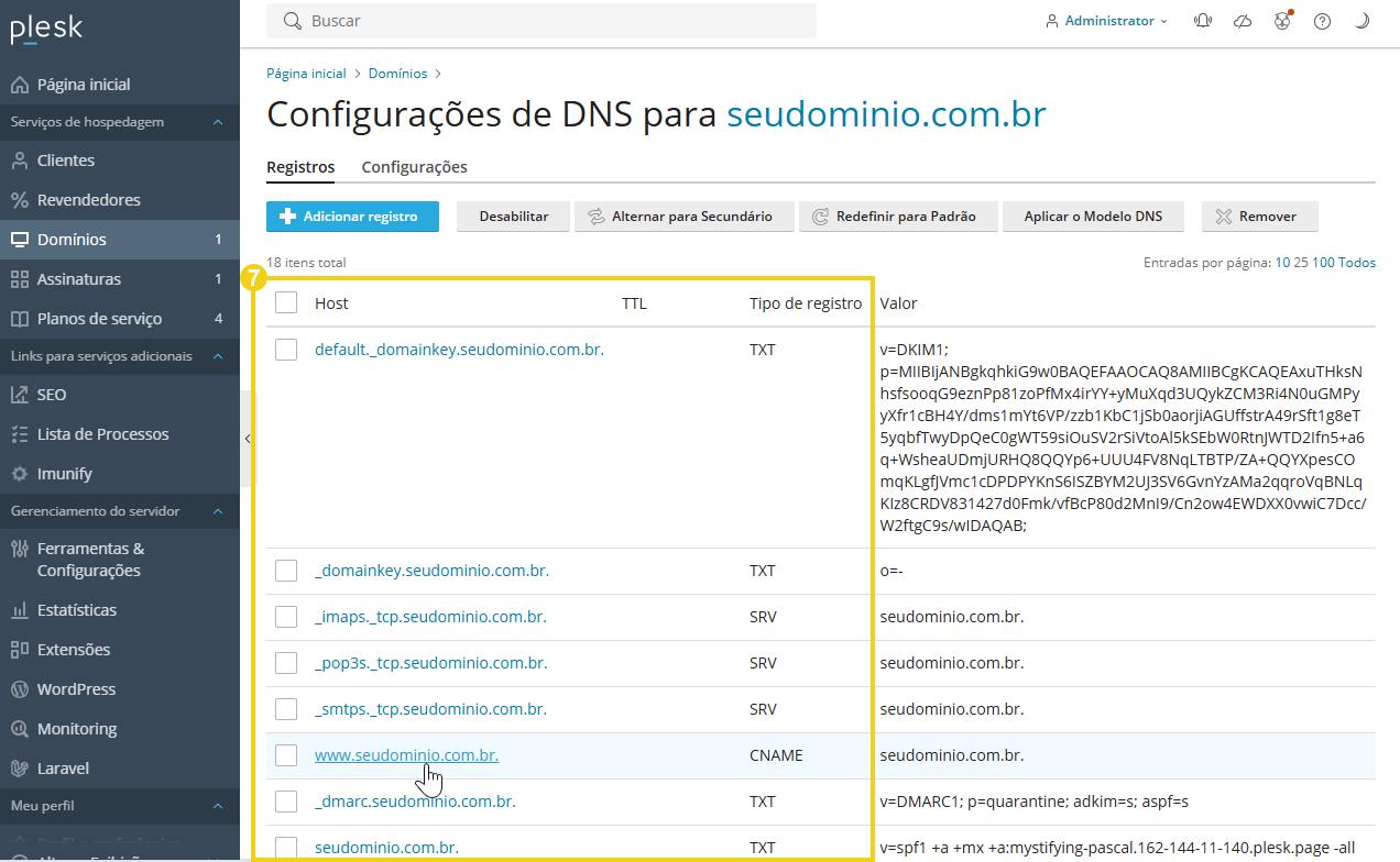 Imagem mostra o painel do Plesk com a marcação na coluna "Host" e "Tipo de registro", para que possa identificar o lugar para clicar e acessar a área de edição