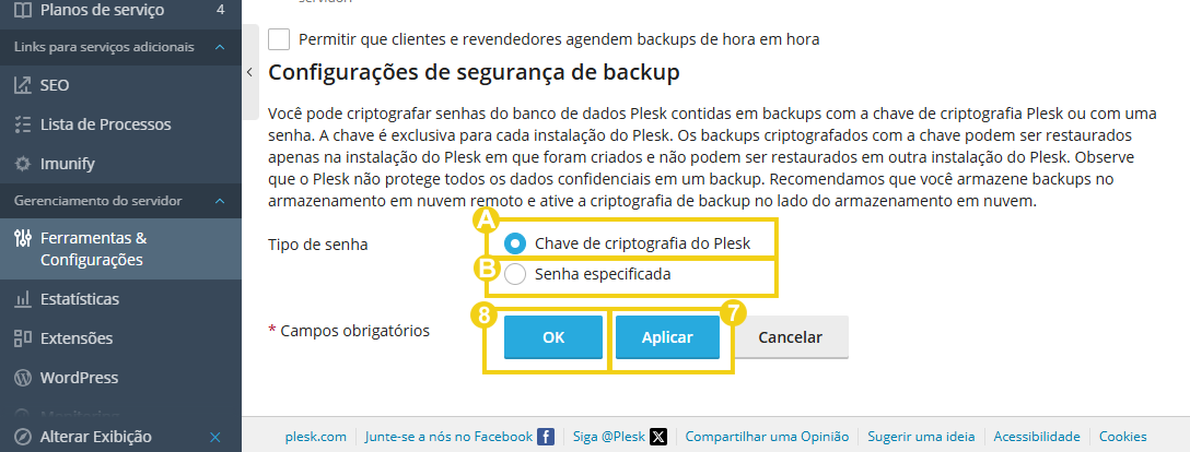 Imagem mostra o painel do Plesk na área de gerenciamento do backup e a marcação nas configurações de segurança e conclusão