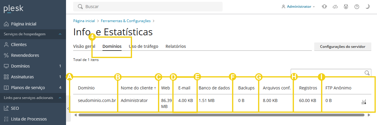 Imagem mostra o painel do Plesk, na aba "Domínios" e os campos informativos