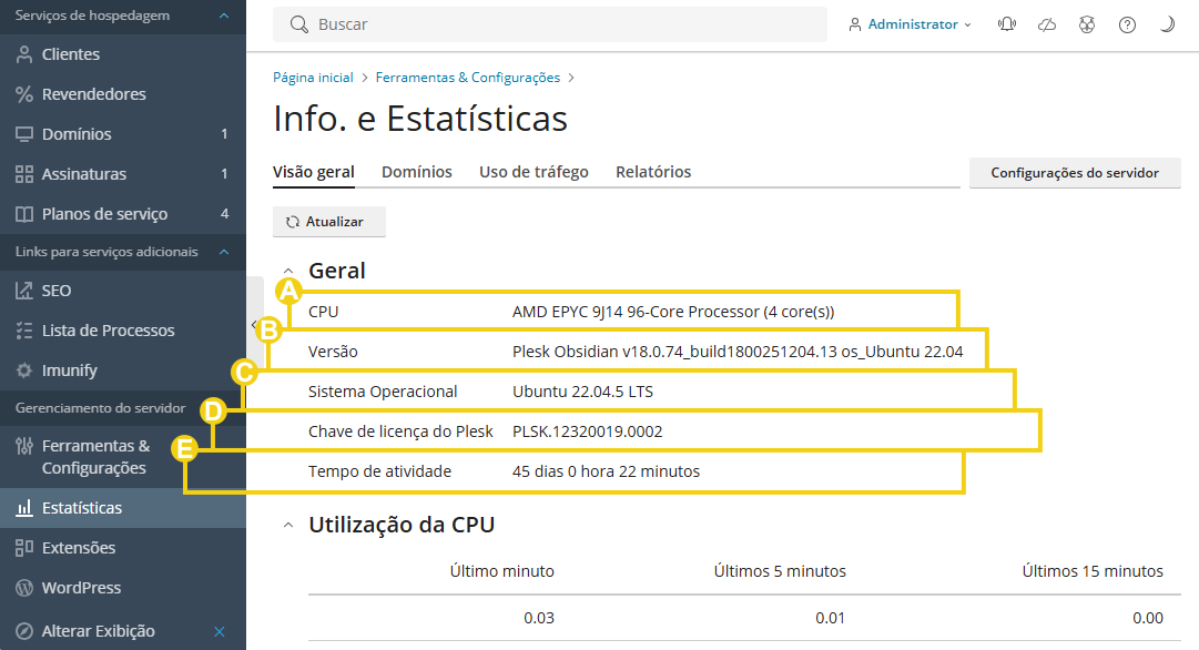 Imagem mostra o painel do Plesk, na aba "Visão Geral" e os campos informativos