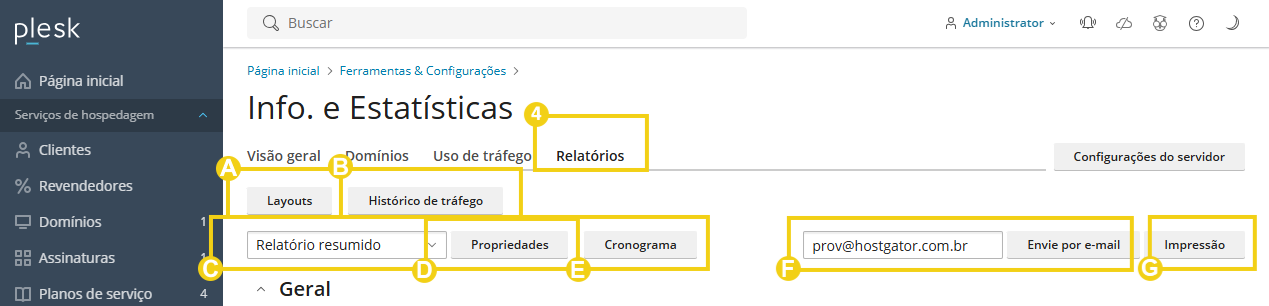 Imagem mostra o painel do Plesk, na aba "Relatórios" e os campos informativos