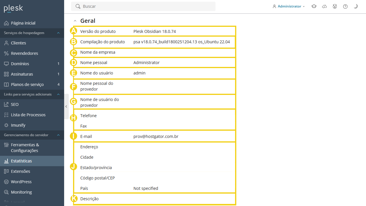 Imagem mostra o painel do Plesk, na aba "Relatórios" e os campos informativos