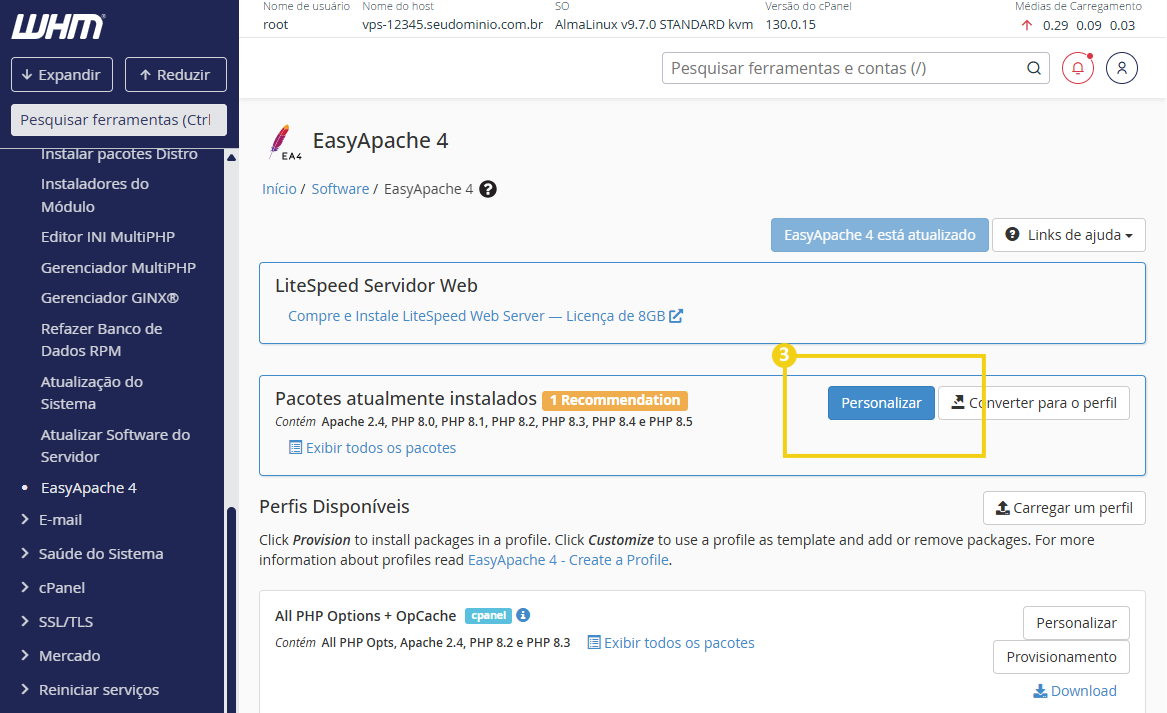 Imagem do painel WHM com a marcação no botão "Personalizar" da seção "Pacotes atualmente instalados"