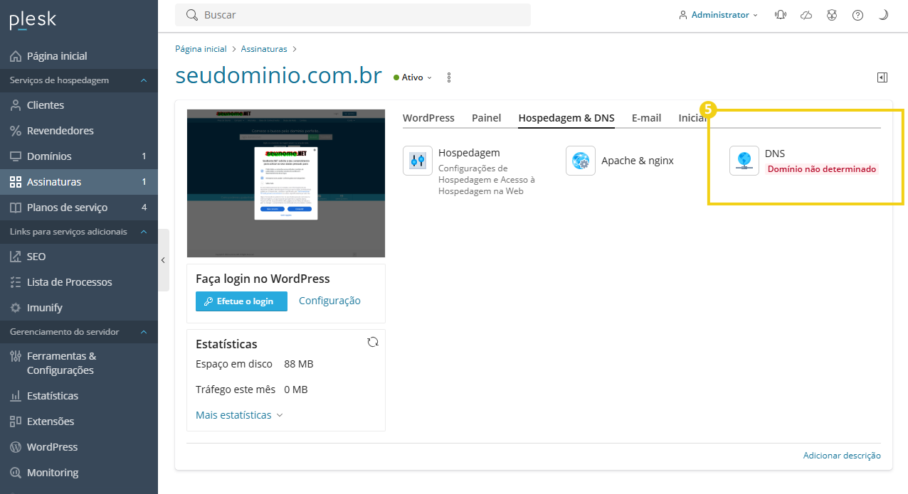 Imagem mostra o painel do Plesk com a marcação na seção "DNS" que deve ser clicada para acessar