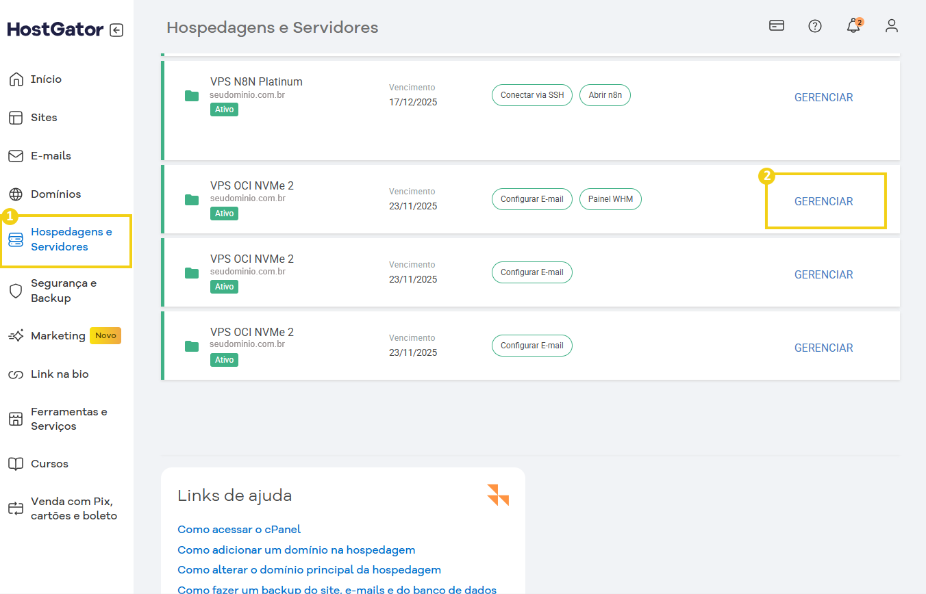 imagem do painel financeiro da HostGator, listando os servidores contratados, com destaque no botão gerenciar