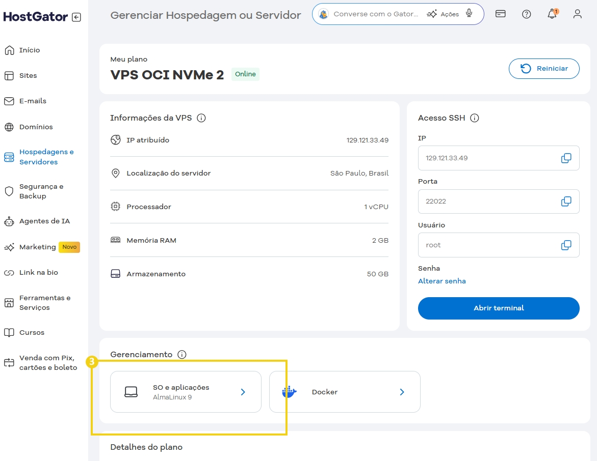 Tela do painel de controle de hospedagem no HostGator mostrando gerenciamento de VPS com Almalinux 9 e Docker.