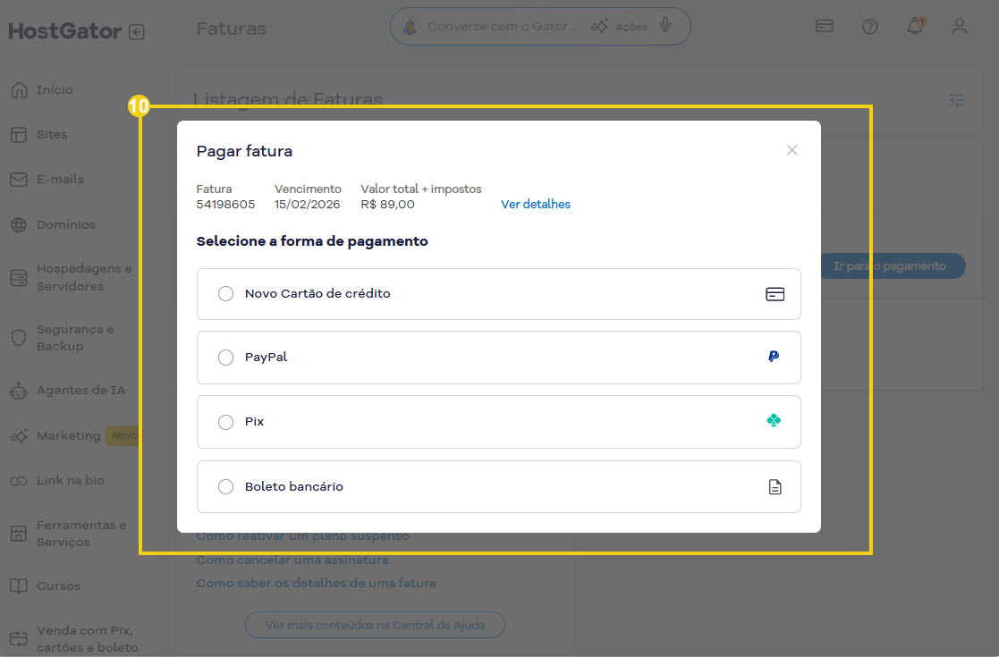 Imagem mostrando a plataforma HostGator de gerenciamento de hospedagens e servidores na tela de finalização para pagamento de fatura