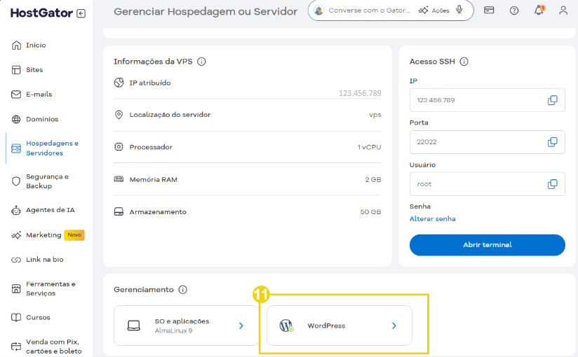 Tela de gerenciamento de hospedagem e servidor mostrando aplicação instalada