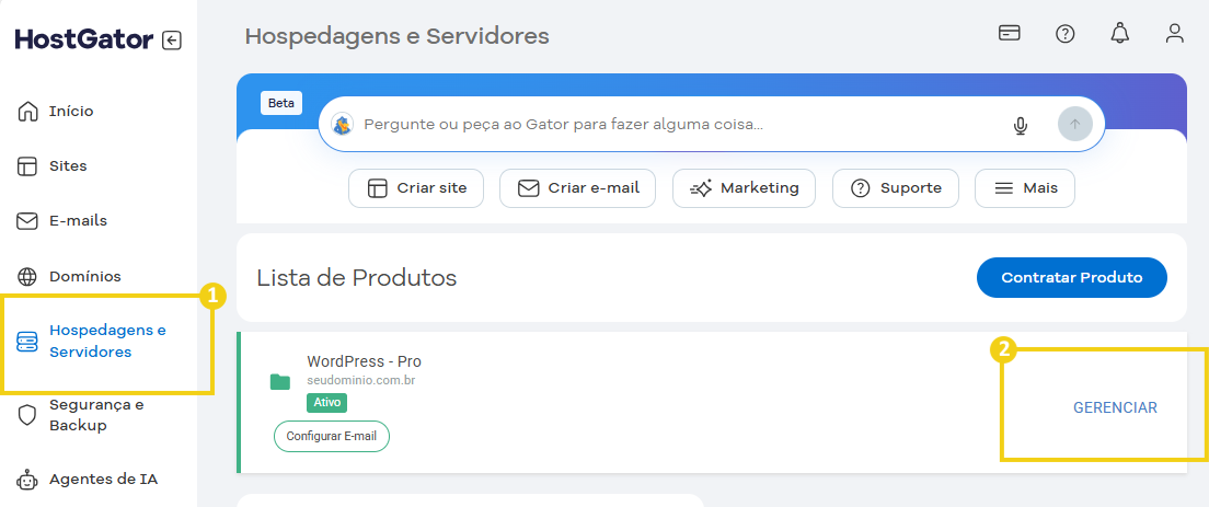 Imagem mostra a tela do Portal do Cliente com a marcação no menu lateral em "Hospedagens e Servidores", que deve ser clicado para acessar a lista dos produtos. Depois na listagem dos produtos, deve clicar no botão "Gerenciar"