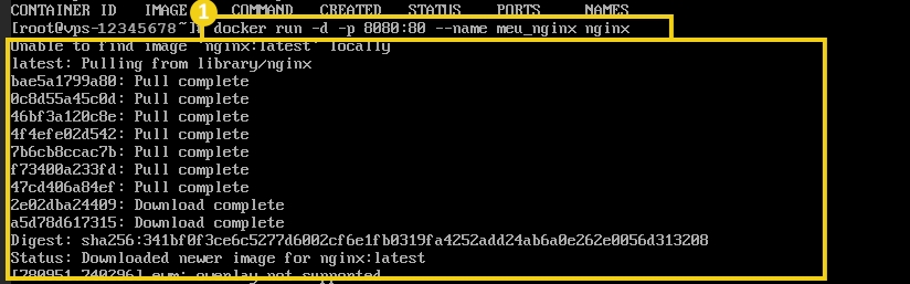 Imagem mostrando execução de comandos Docker para gerenciar containers nginx, incluindo pull da última versão do nginx e download de imagens.