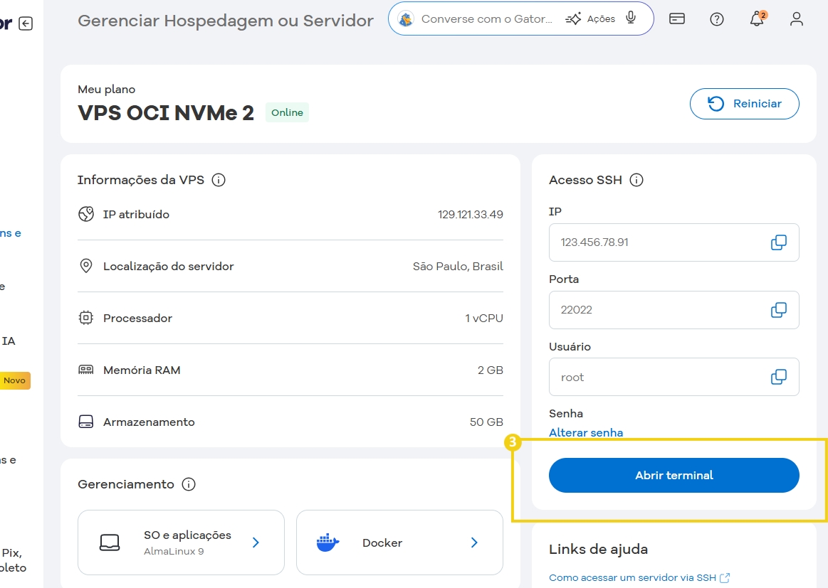 Configuração de VPS para gerenciamento de hospedagem ou servidor em nuvem no painel de controle com detalhes da sessão e opções de administração
